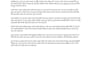 write SEO optimized articles and blog posts